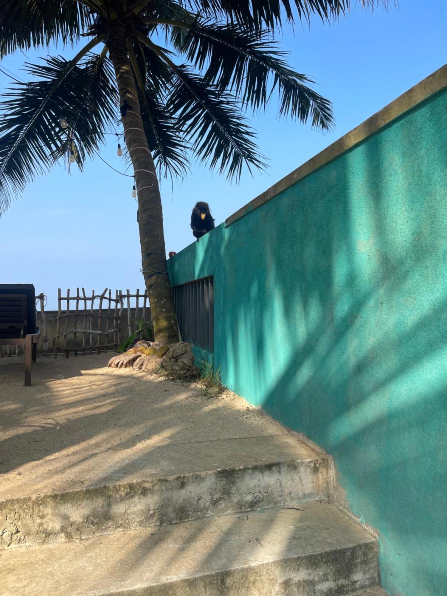 Blue Maalu Resort Ambalangoda  Exterior foto